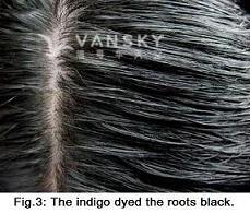 260422161257_Hair-Dyed with indigo-s.jpg